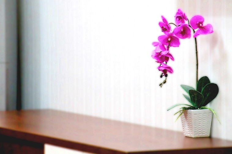 HomeLike Hotel & Apartment Đà Nẵng