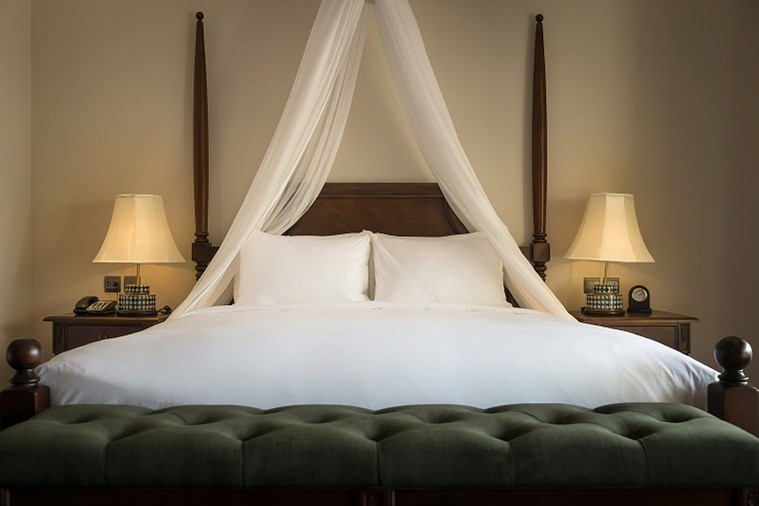 Phòng Premium Suite Terrace