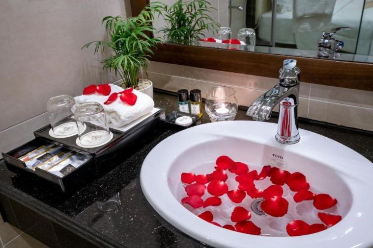 Deluxe Twin City view