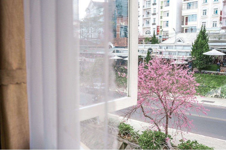 Khách sạn Nice Dream Đà Lạt