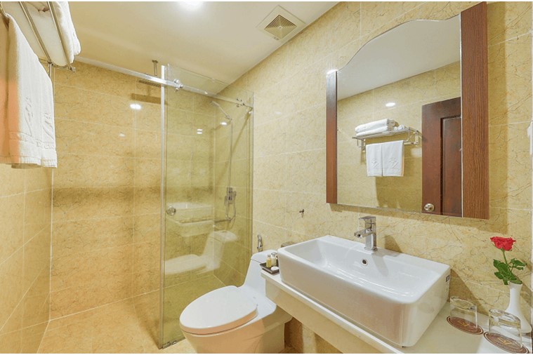 Deluxe Twin City view