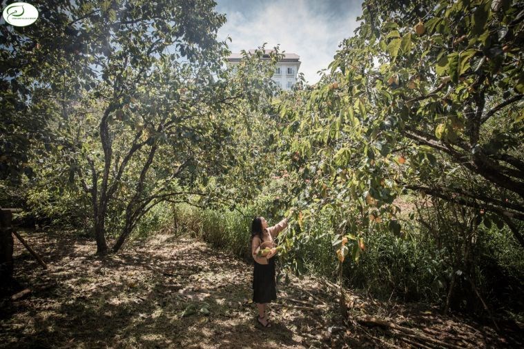 Hồng Môn Villas & Resort Đà Lạt