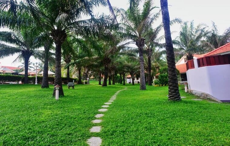 Phòng Grand Deluxe Twin Ocean View