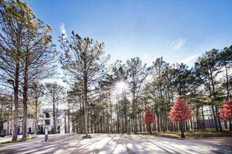 Terracotta Hotel & Resort Đà Lạt