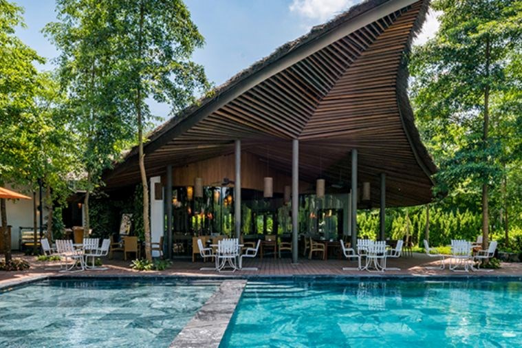 Forest In The Sky – Flamingo Đại Lải Resort