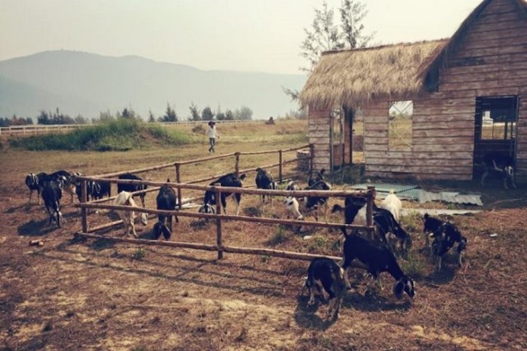 Thuận Phước Field - Đà Nẵng