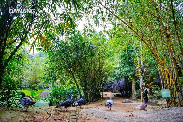 Sơn Trà Tịnh Viên - Đà Nẵng