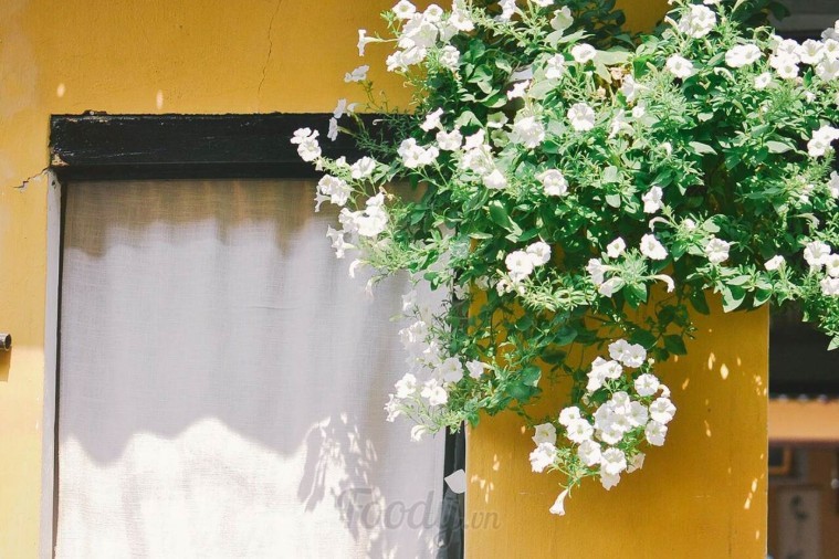 Rosie's Cafe - Hội An