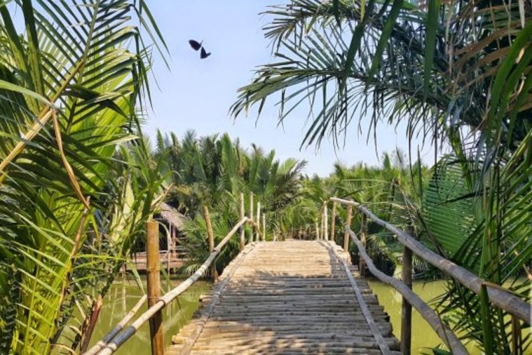 Rừng dừa Bảy Mẫu - Hội An