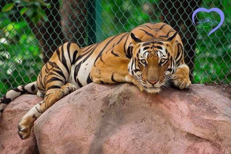 Vinpearl Land Nam Hội An