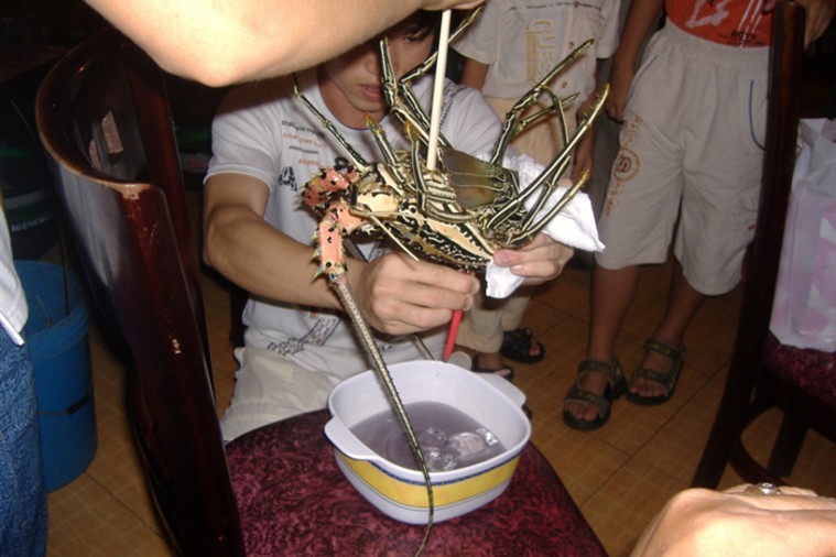 Hải Sản Sen - Hội An