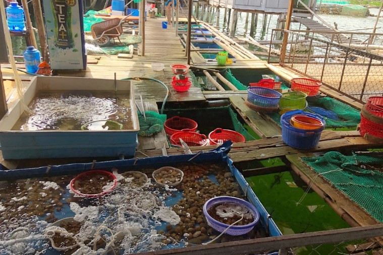 Quán Bồng Bềnh - Quy Nhơn