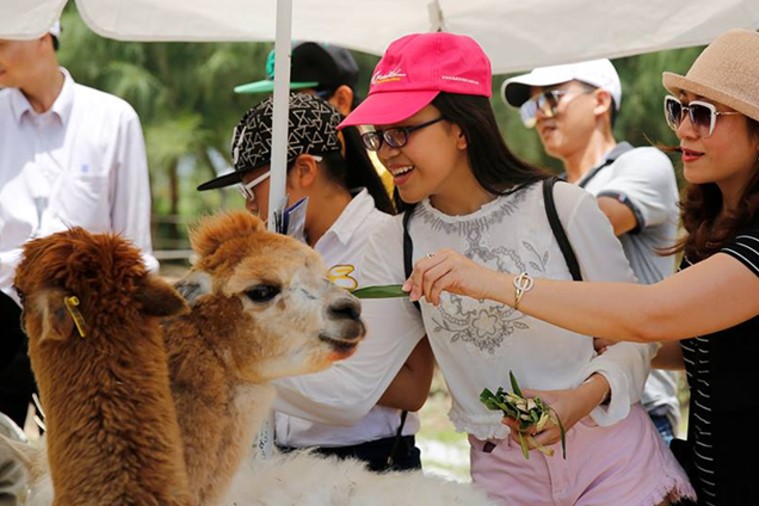  FLC Zoo Safari Park - Quy Nhơn