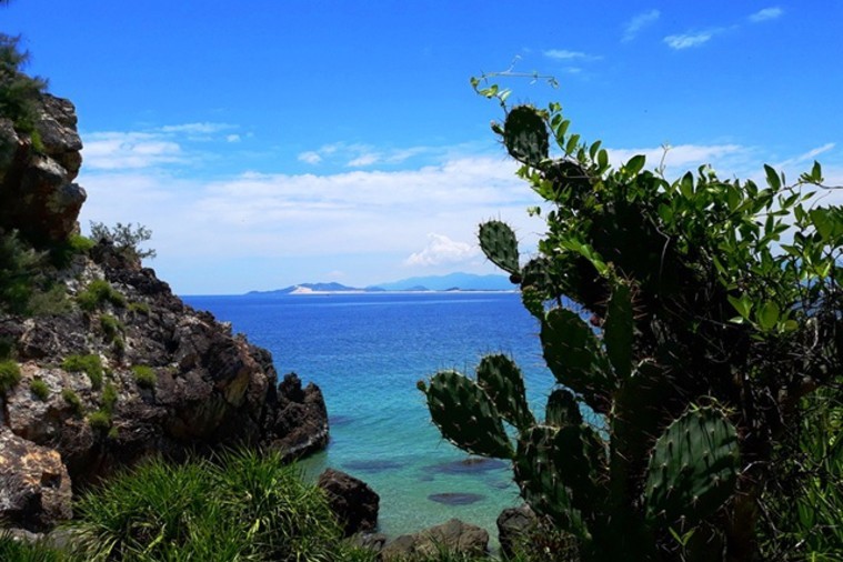 Mũi vi Rồng - Quy Nhơn