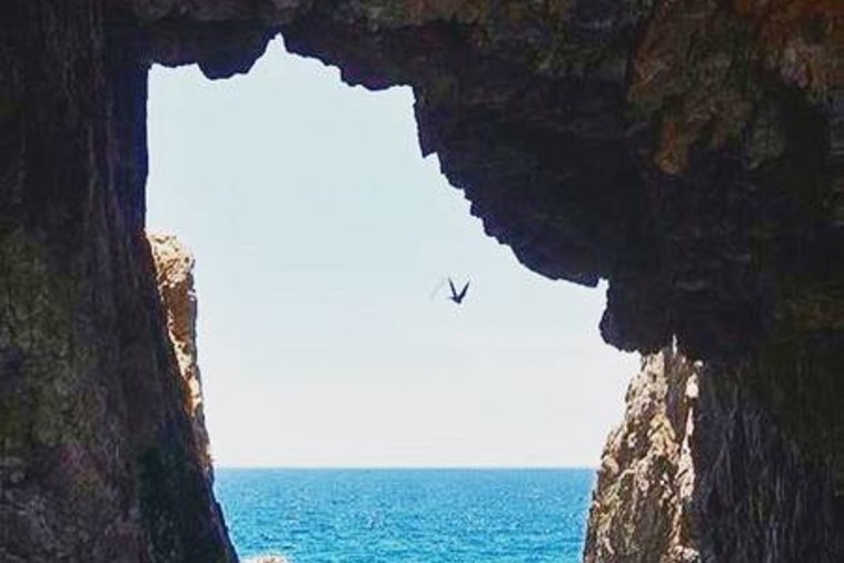 Mũi vi Rồng - Quy Nhơn