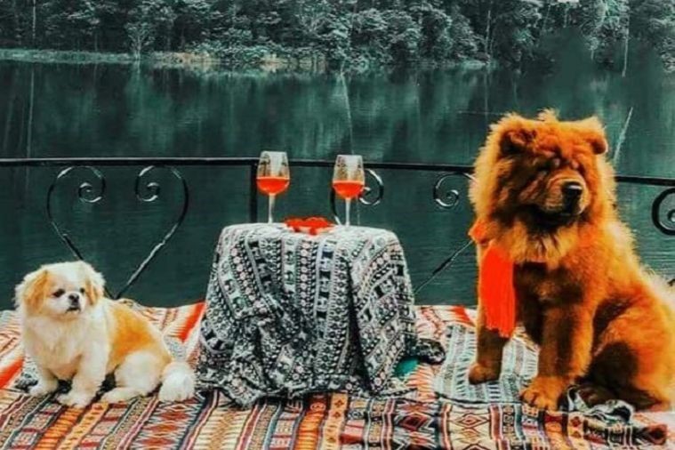 Lạc Tiên Giới- Đà Lạt