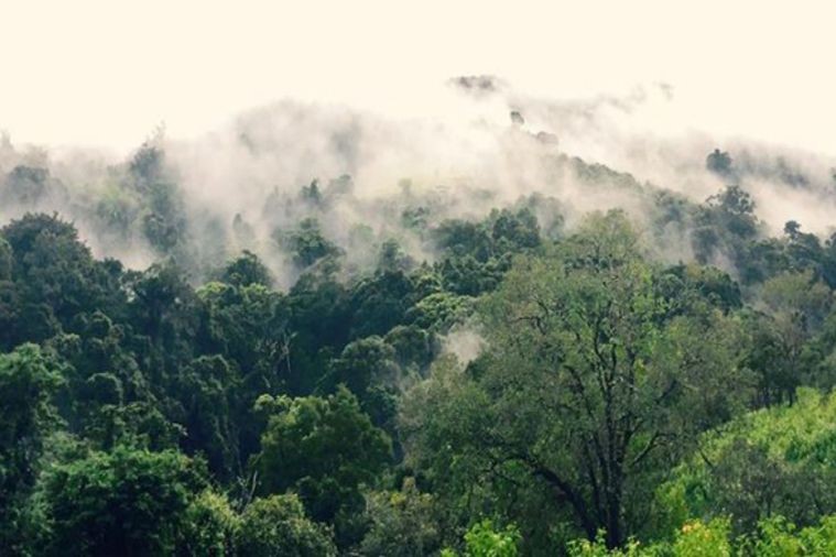 Hoa Sơn Điền Trang - Đà Lạt