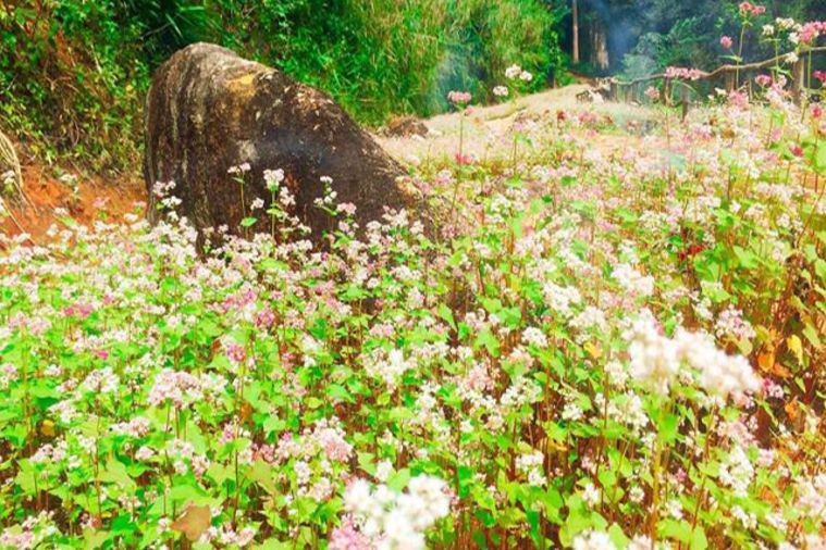Hoa Sơn Điền Trang - Đà Lạt