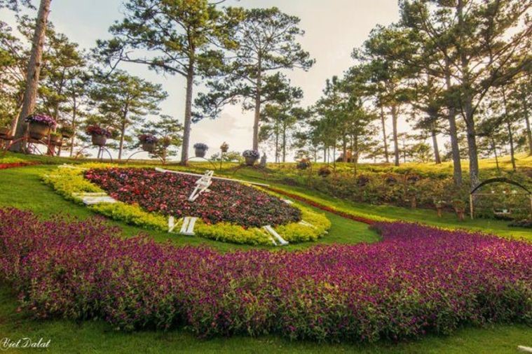 Thung Lung Tình Yêu - Đà Lạt