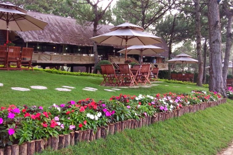 Đồi Mộng Mơ - Đà Lạt