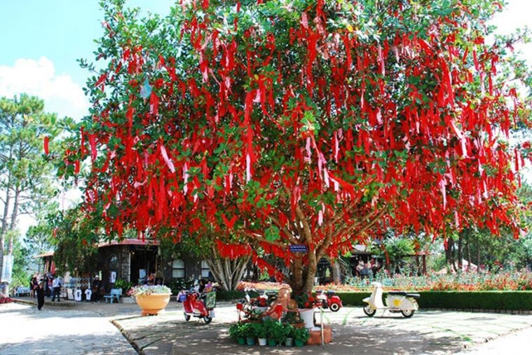 Đồi Mộng Mơ - Đà Lạt