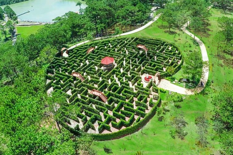 Đồi Mộng Mơ - Đà Lạt