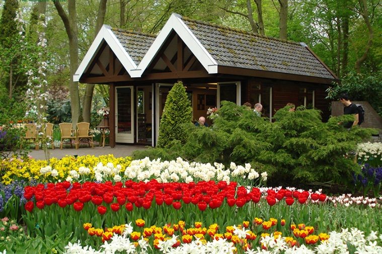 Đồi Mộng Mơ - Đà Lạt