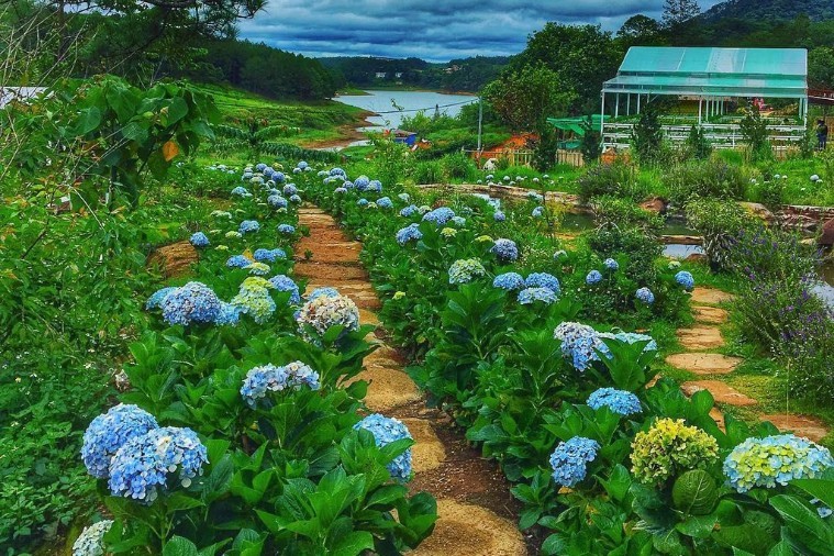 Đường Hầm Điêu Khắc - Đà Lạt