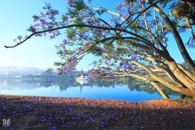 Hồ Xuân Hương - Đà Lạt