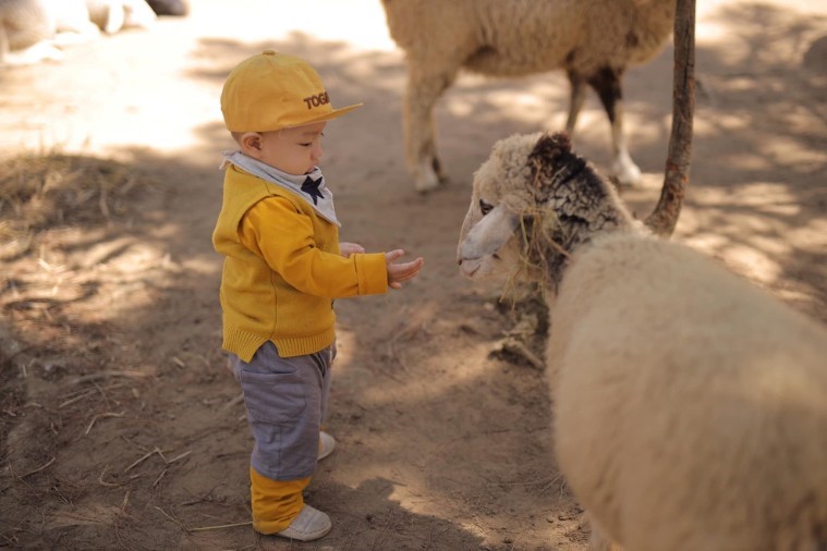 Sở thú ZooDoo- Đà Lạt