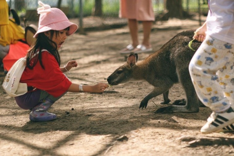 Sở thú ZooDoo- Đà Lạt
