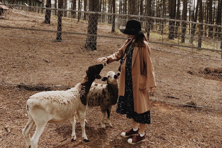 Sở thú ZooDoo- Đà Lạt