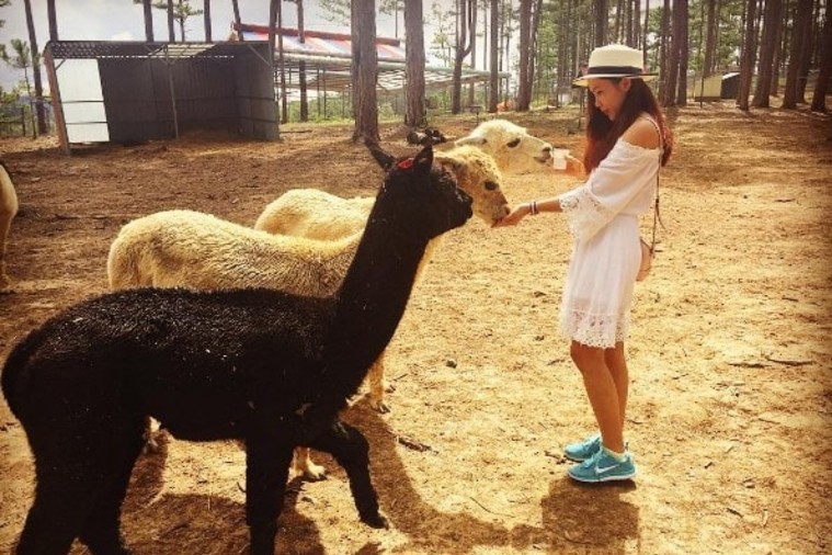 Sở thú ZooDoo- Đà Lạt