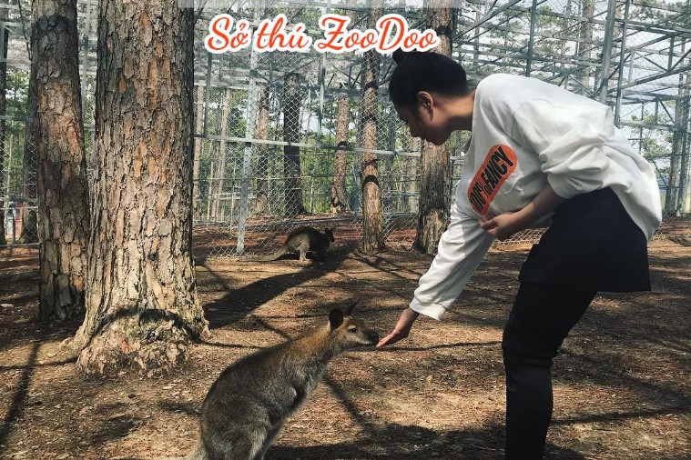 Sở thú ZooDoo- Đà Lạt