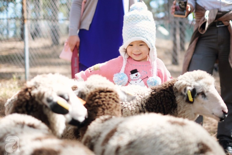 Sở thú ZooDoo- Đà Lạt