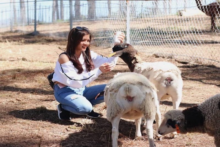 Sở thú ZooDoo- Đà Lạt