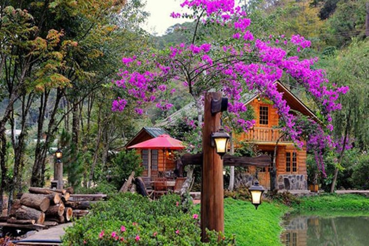 Ma Rừng Lữ Quán - Đà Lạt