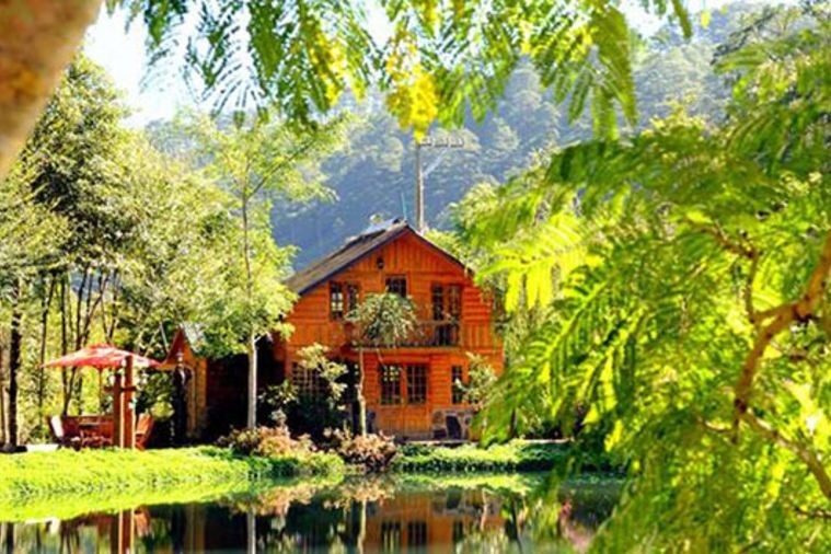 Ma Rừng Lữ Quán - Đà Lạt