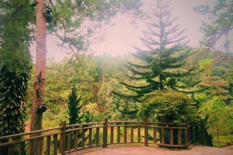 Giao Hưởng Xanh - Đà Lạt