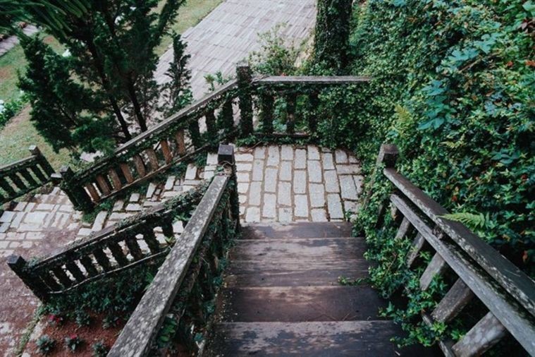 Giao Hưởng Xanh - Đà Lạt