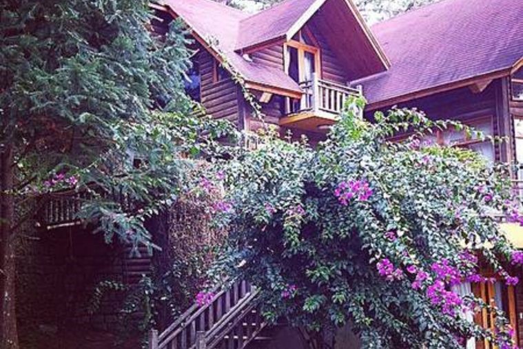 Giao Hưởng Xanh - Đà Lạt