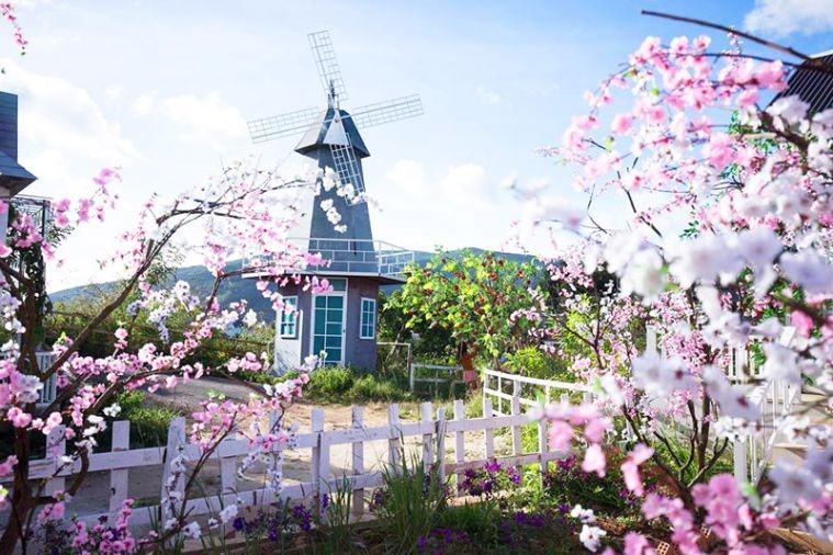 Phim Trường Story Love - Đà Lạt