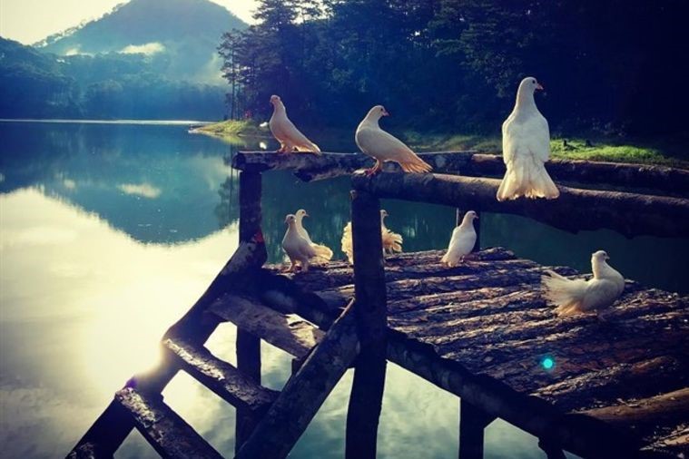 Phim Trường Secret Garden - Đà Lạt