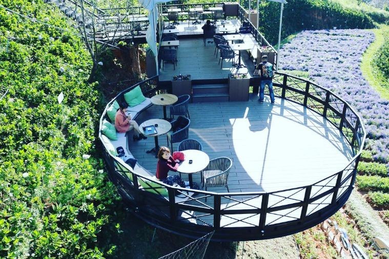 Cafe F Cánh Đồng Hoa - Đà Lạt