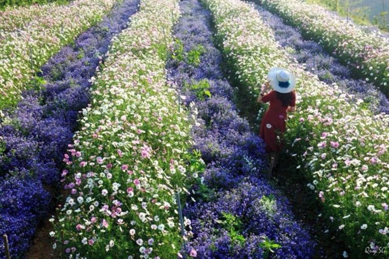 Cafe F Cánh Đồng Hoa - Đà Lạt