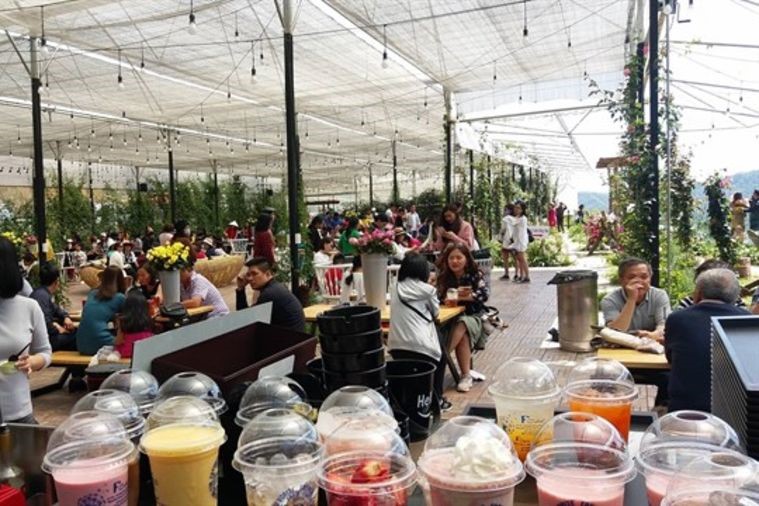 Cafe F Cánh Đồng Hoa - Đà Lạt