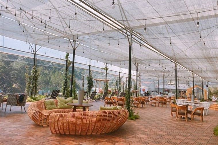 Cafe F Cánh Đồng Hoa - Đà Lạt