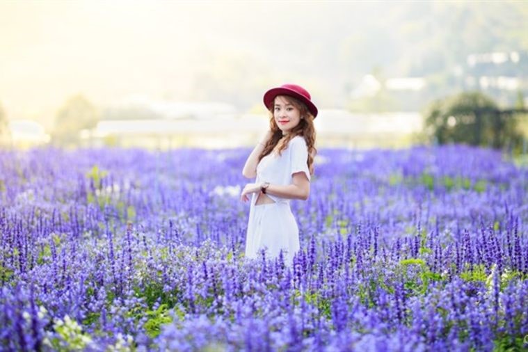 Cafe F Cánh Đồng Hoa - Đà Lạt