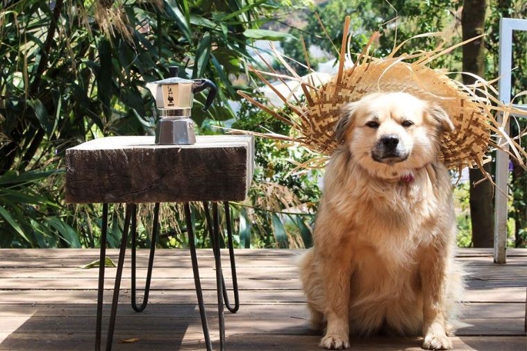 Quán Của Thời Thanh Xuân - Đà Lạt