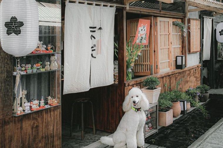 Still Cafe - Đà Lạt